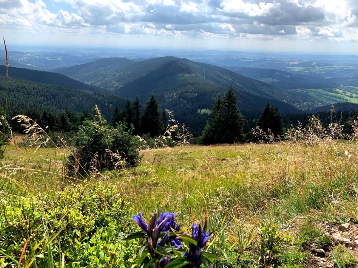 Apartmany Stare-Hory Krkonose Roudnice ภายนอก รูปภาพ